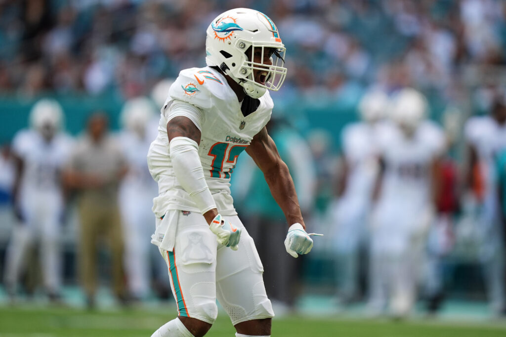 Miami Dolphins wide receiver Jaylen Waddle (17) reacts after getting a first down during the first half against the New England Patriots at Hard Rock Stadium. 